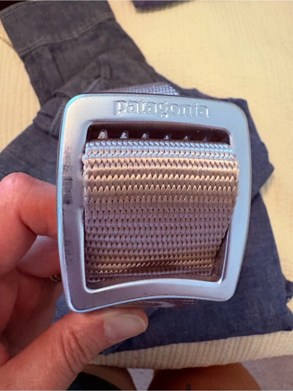 Patagonia Tech Web Belt